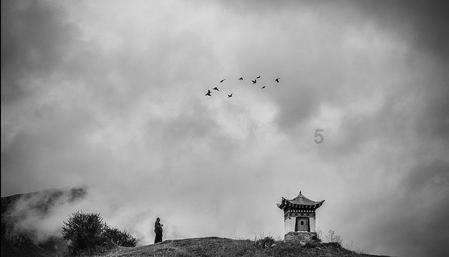 死亡细胞