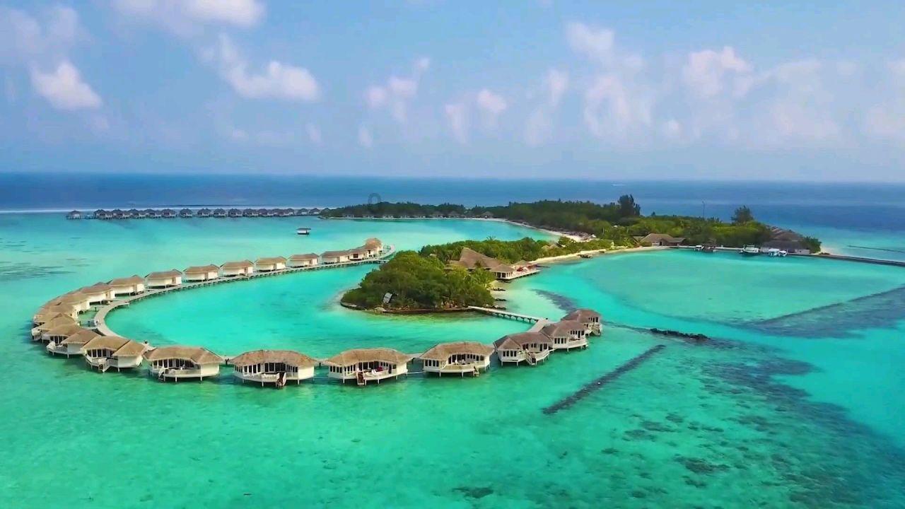 夏日时尚的爱丽