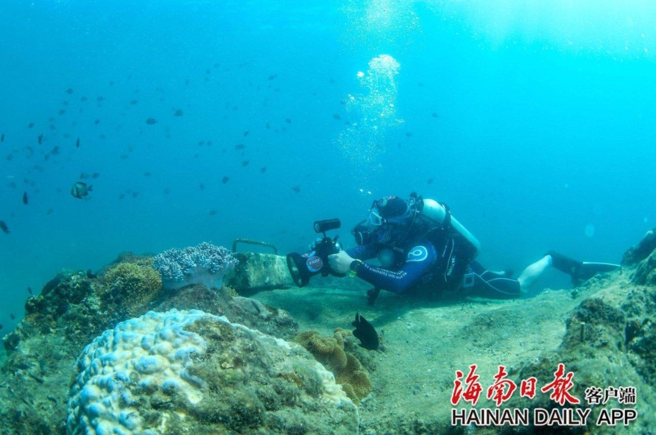 老人下公交车不慎崴脚骨折,警民联手暖心救助
