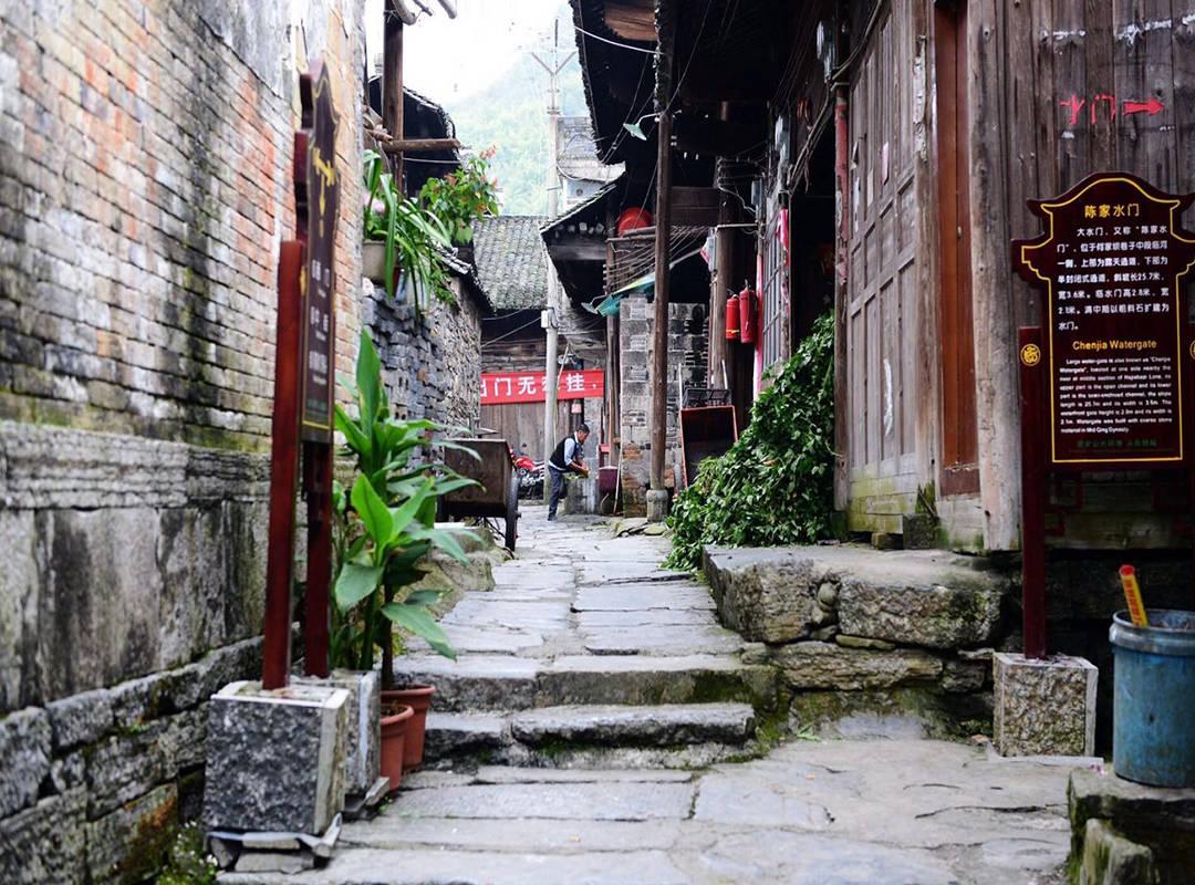 拯救精灵的土地5